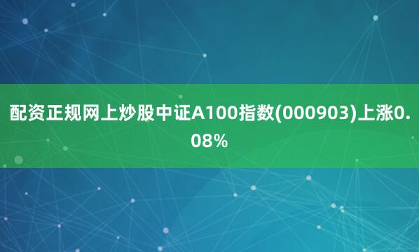 配资正规网上炒股中证A100指数(000903)上涨0.08%