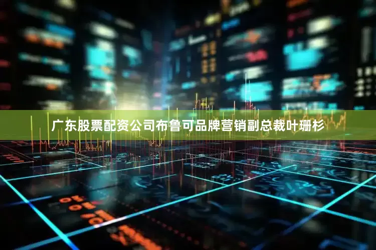 广东股票配资公司布鲁可品牌营销副总裁叶珊杉